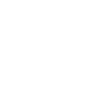 Corporate Icon