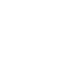 Corporate Icon
